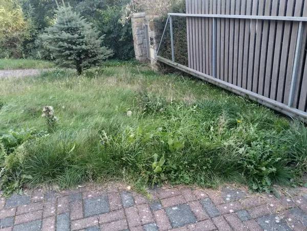 Posekání zarostlé trávy – před, Liberec – Ruprechtice