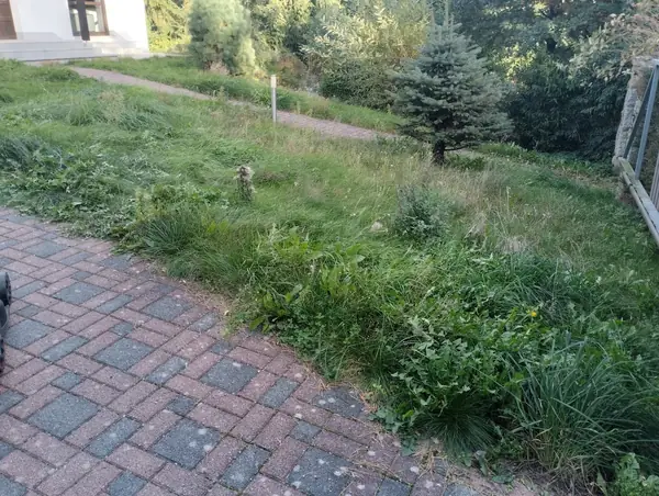 Posekání zarostlé trávy – před, Liberec – Ruprechtice